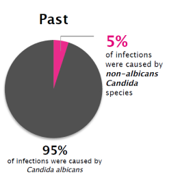 Pie Chart : In the past 5% of infections were caused by non-albicans Candida species