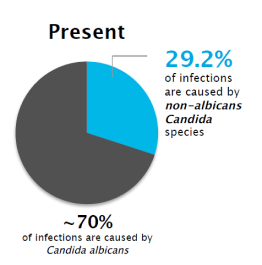 Pie Chart : In the present 29.2% of infections are caused by non-albicans Candida species